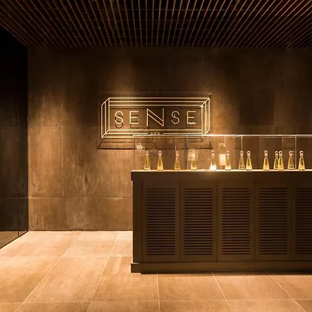 Voyage Sorgun 5* Σιντέ