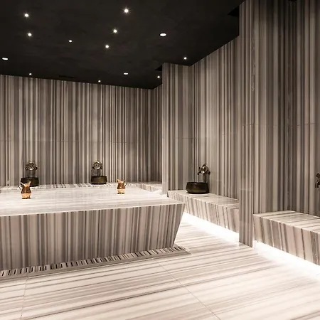 酒店 索尔干航程酒店 5*